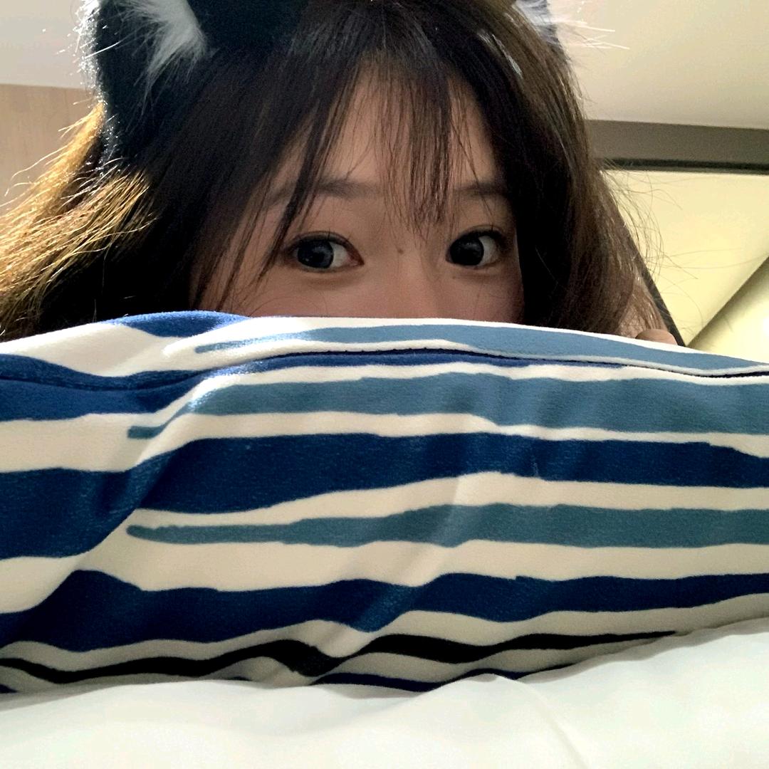 23314号小星星