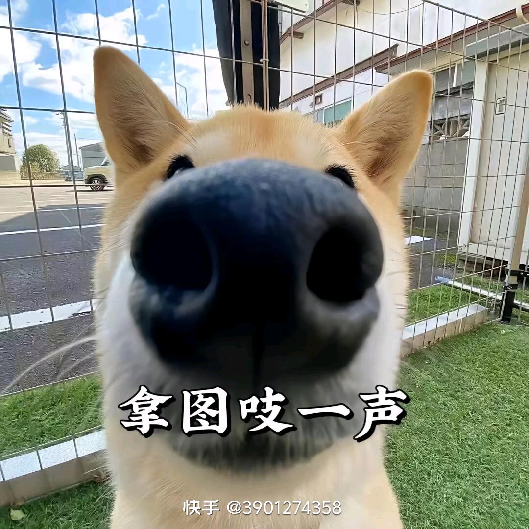 月老婚恋