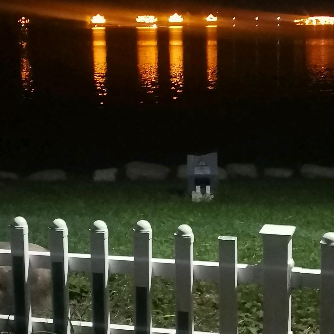 灵湖夜景