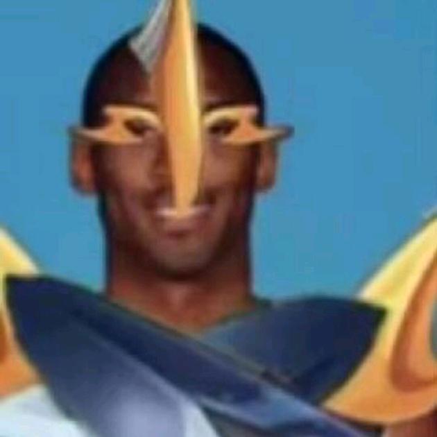 西普大陆副会长