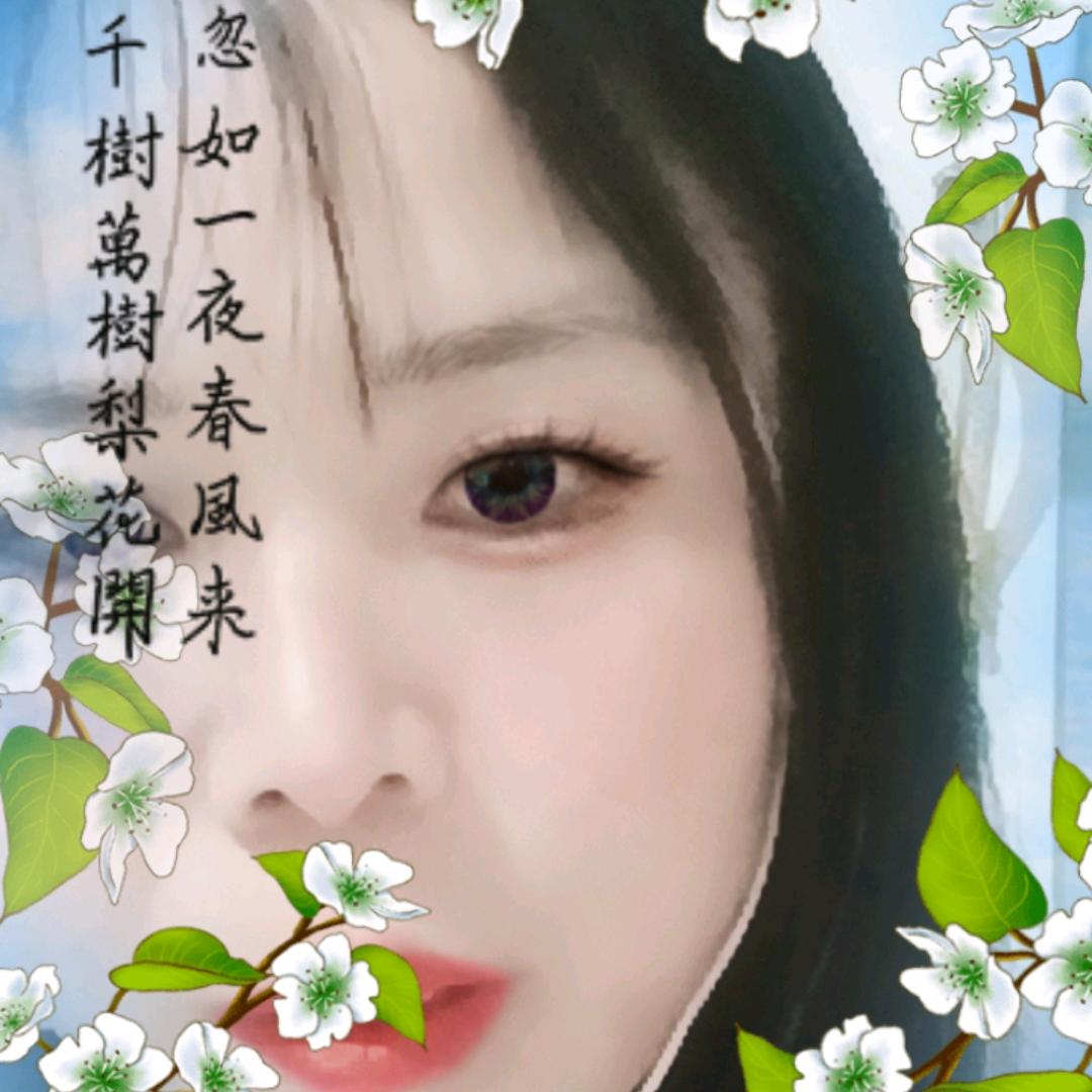 杜妹
