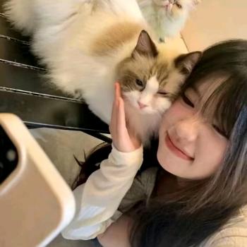 脑袋困掉了头像