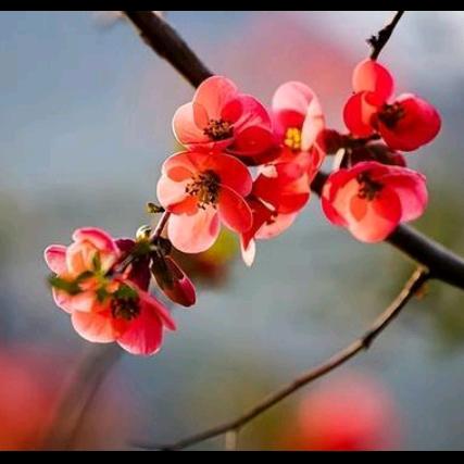 沉默是金🌻😂