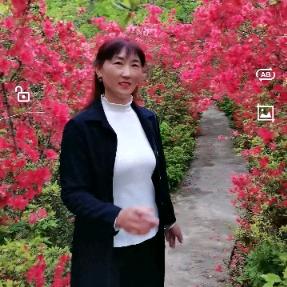 柴姐小号