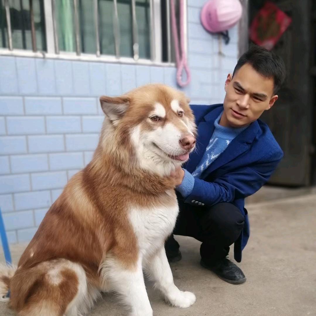 专业水电安装（家装.工装.灯光）