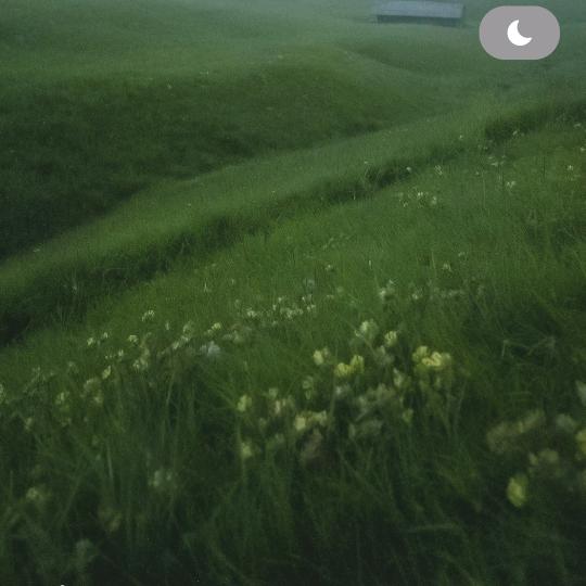 用户323813356353
