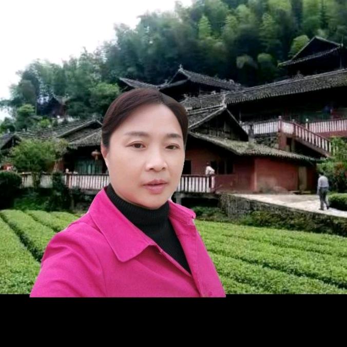 玉露茶大姐