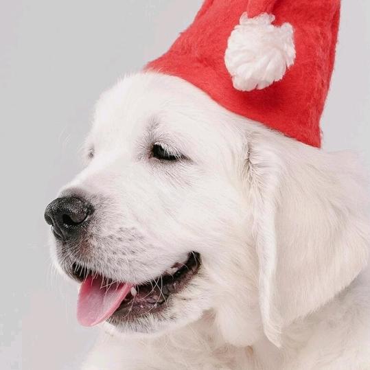 余生得狠💪💪💪