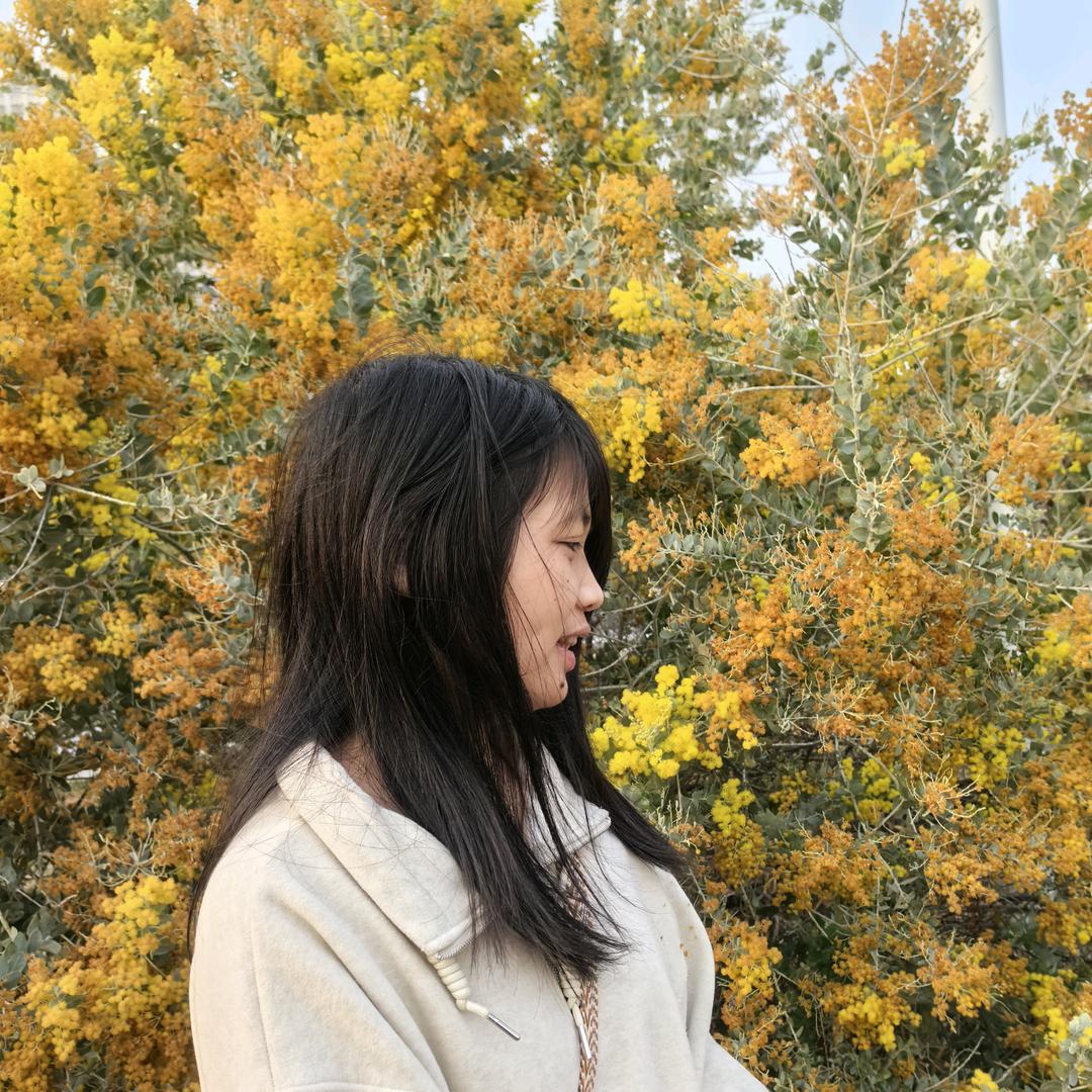 我喜欢向日葵🌻