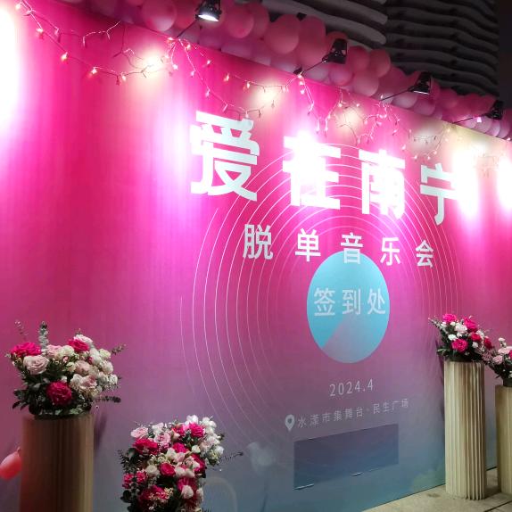 爱在大南宁