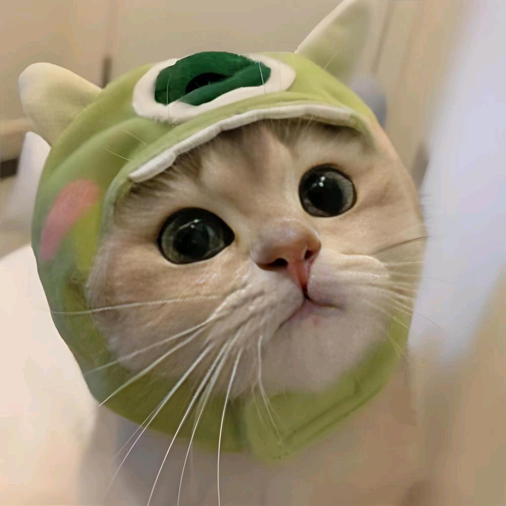 大布叮