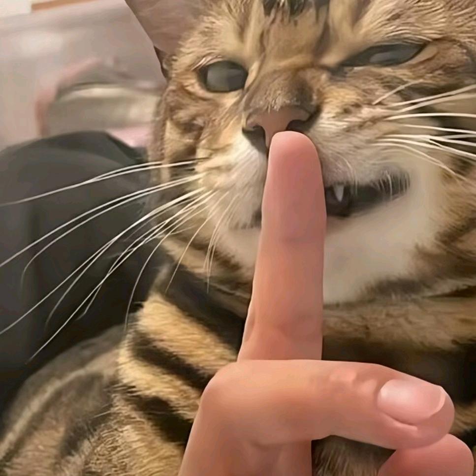 喜欢蓝调
