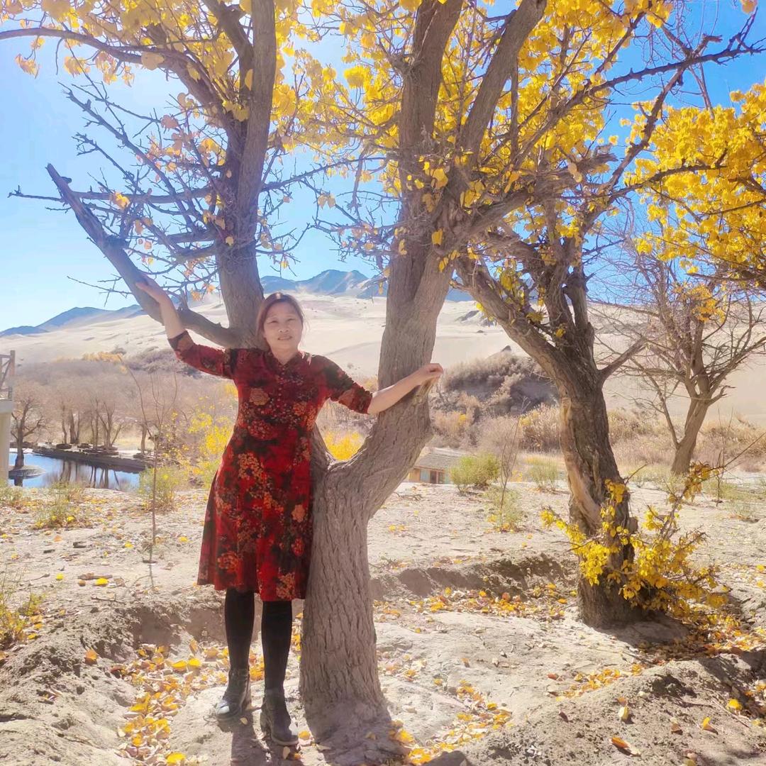 老李的好物分享      专业家政服务