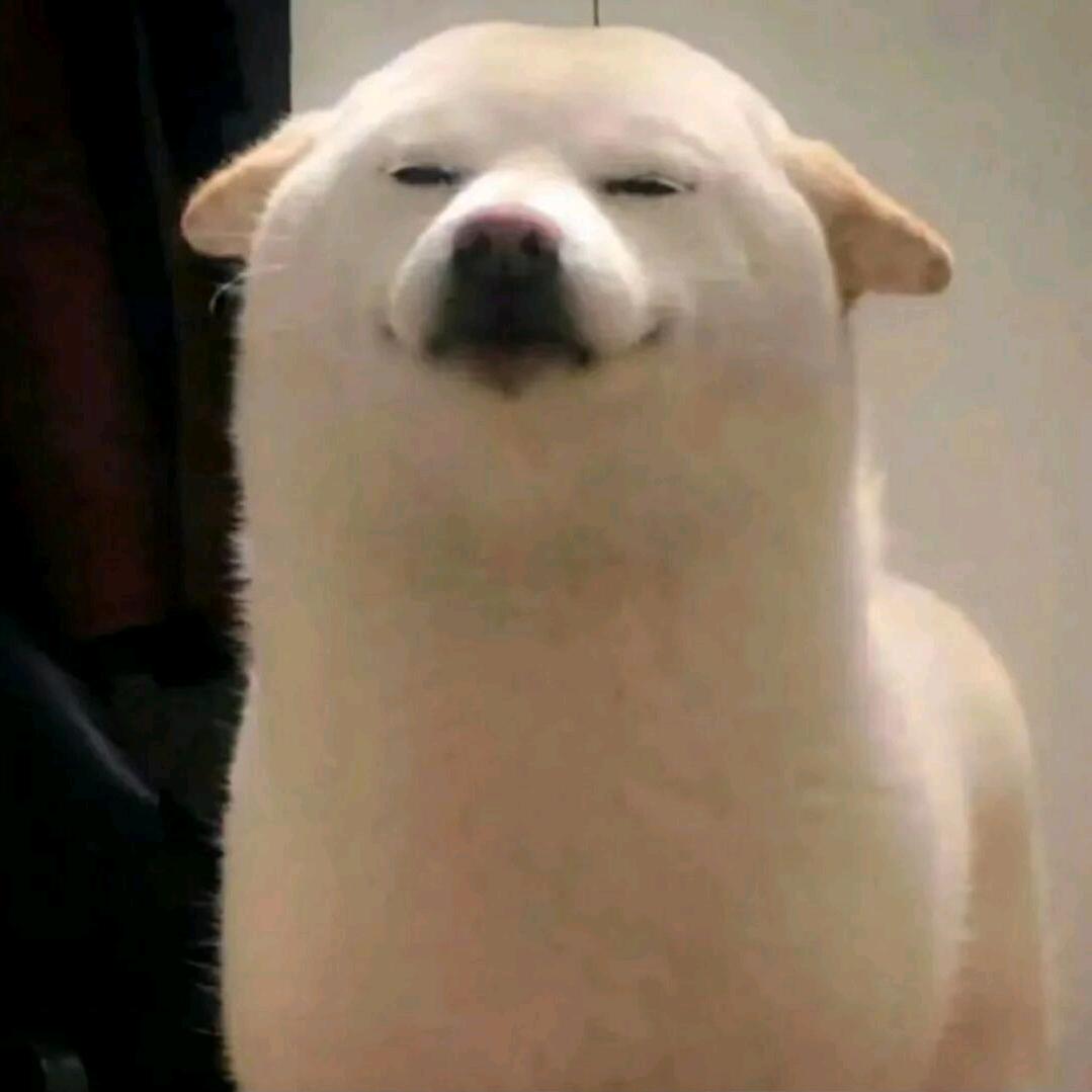 刀刀皇帝来也