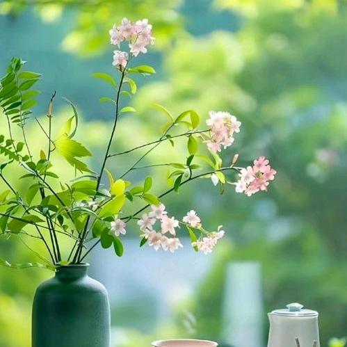 看看远方的风景