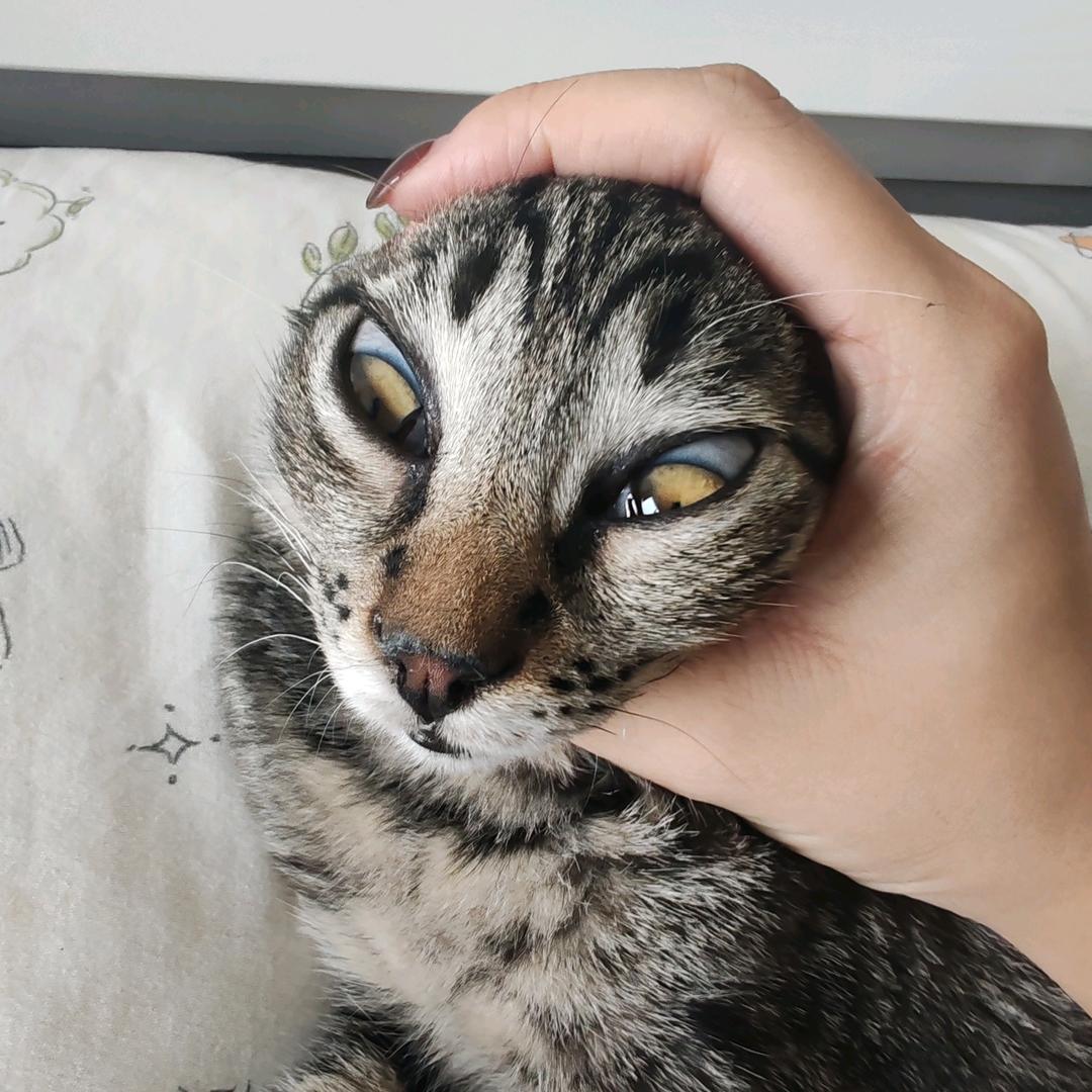哦然后呢