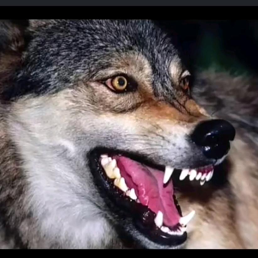 བཀྲ 🍁ཤེས💥བཟང🏮འཕེན