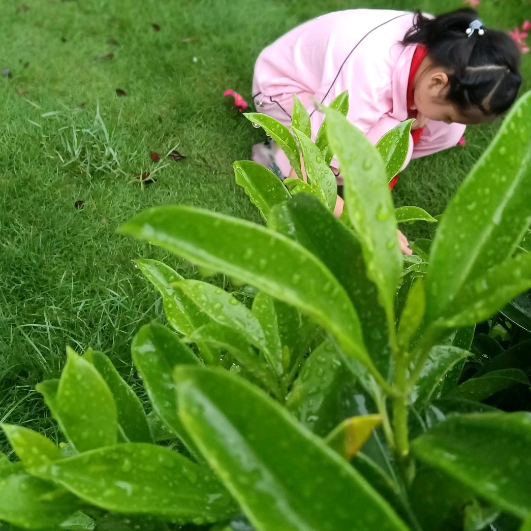 无忧爱学习