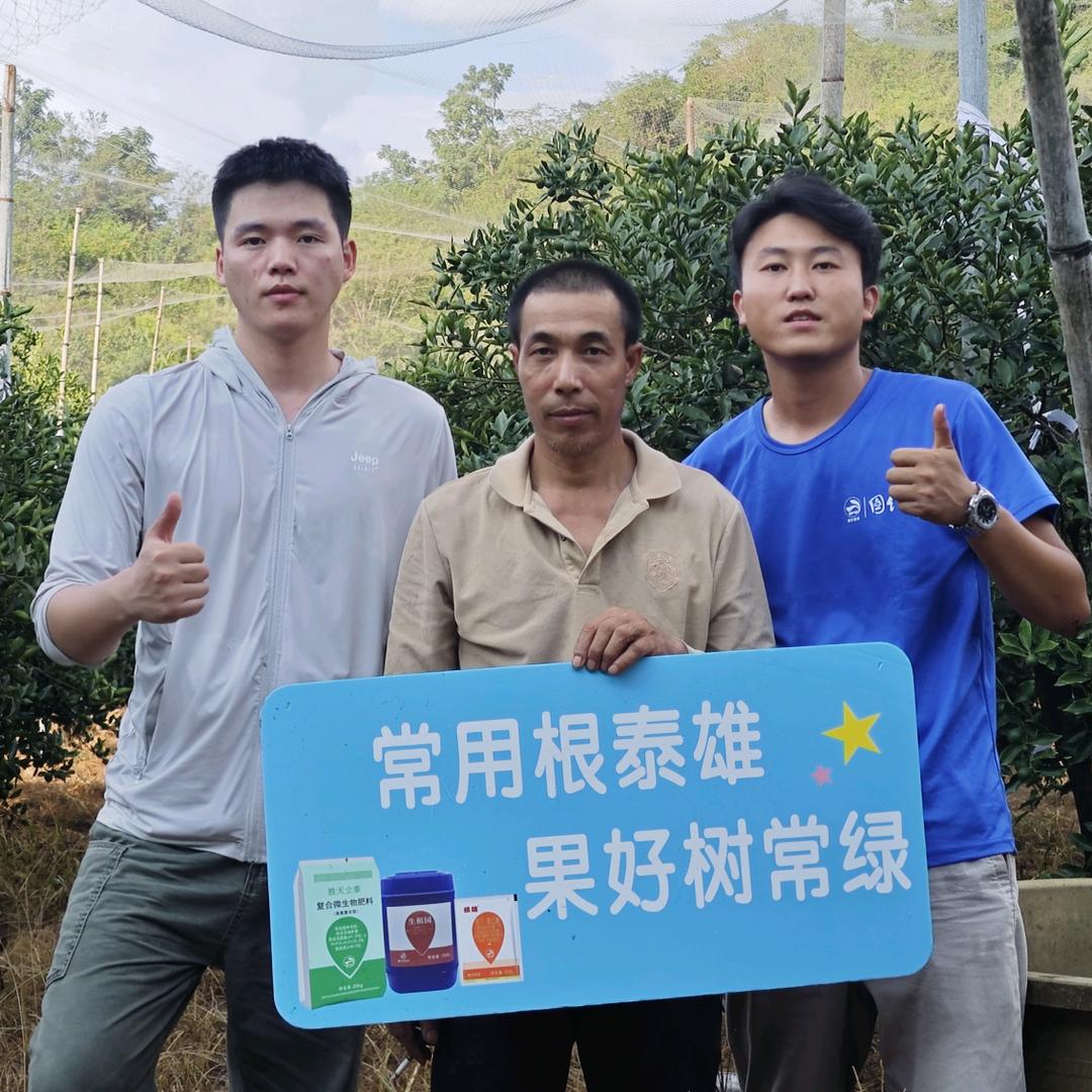 双丰柑橘方老师讲调控