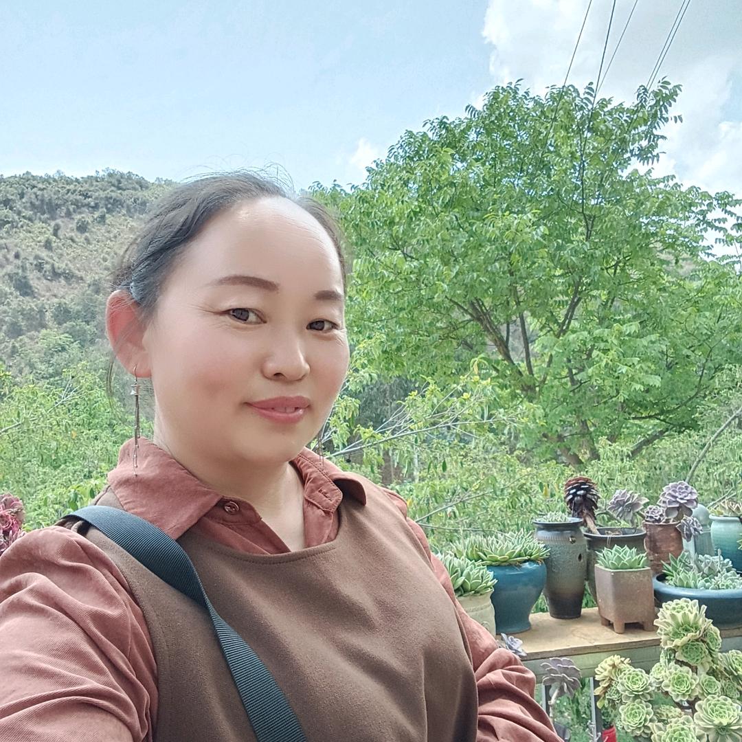 罗次花花（运动型晚上8点40）