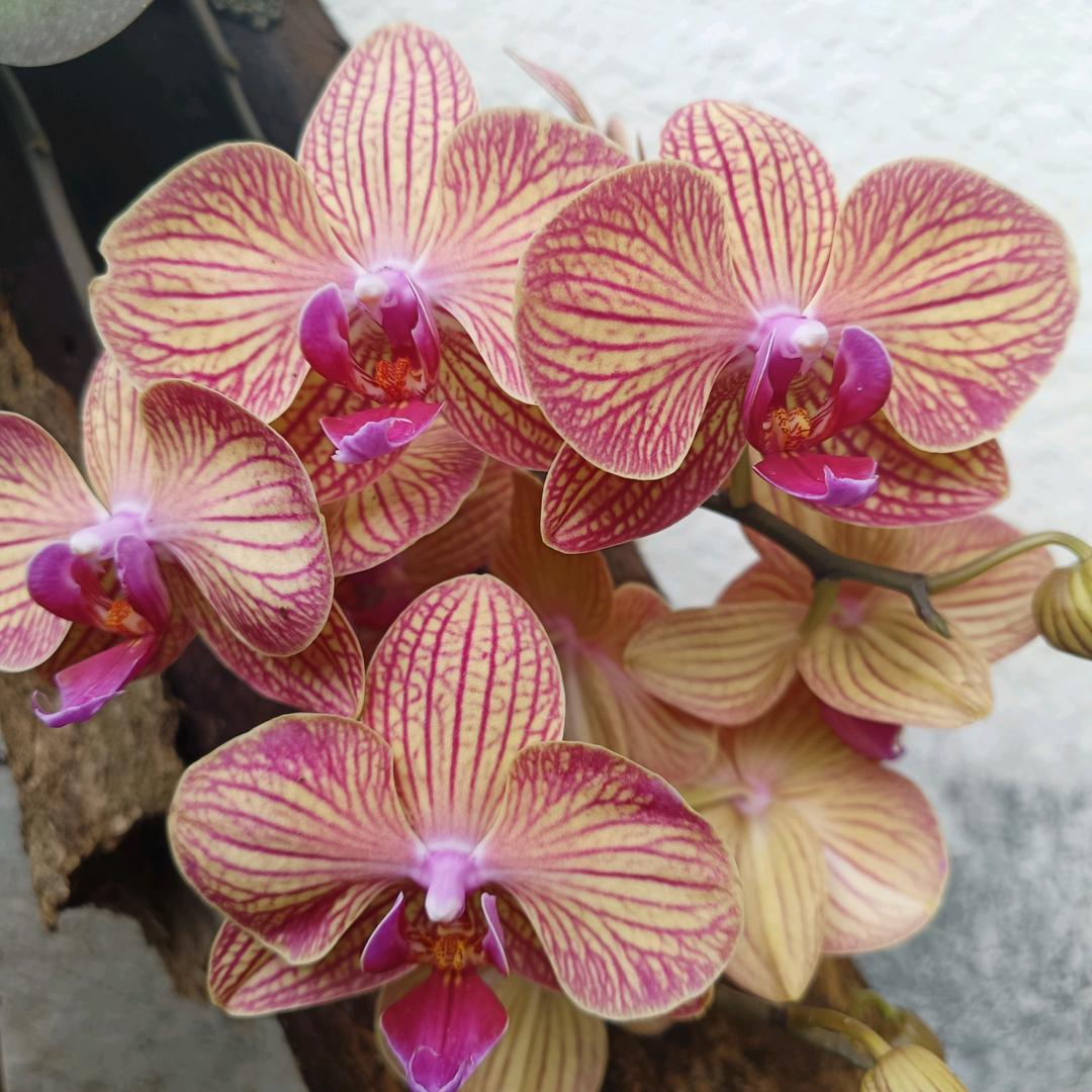 淡忘诠释着一切