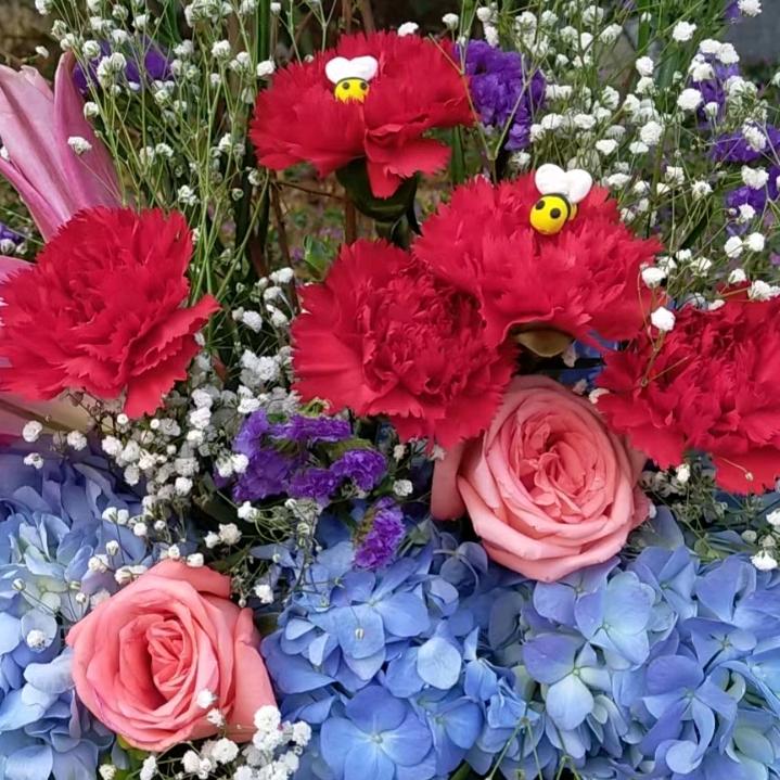 来自重庆的辣妹子