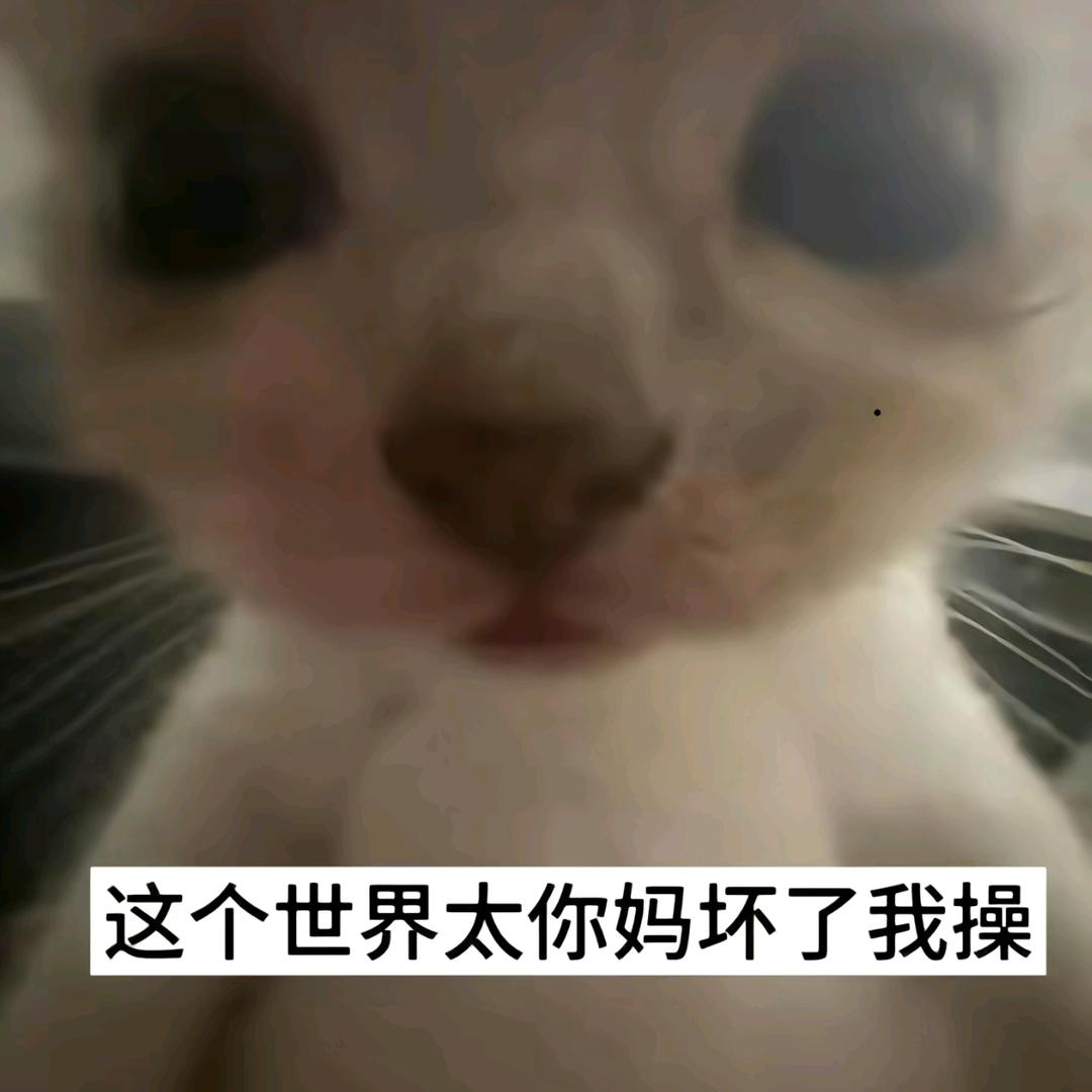 我真不想上学