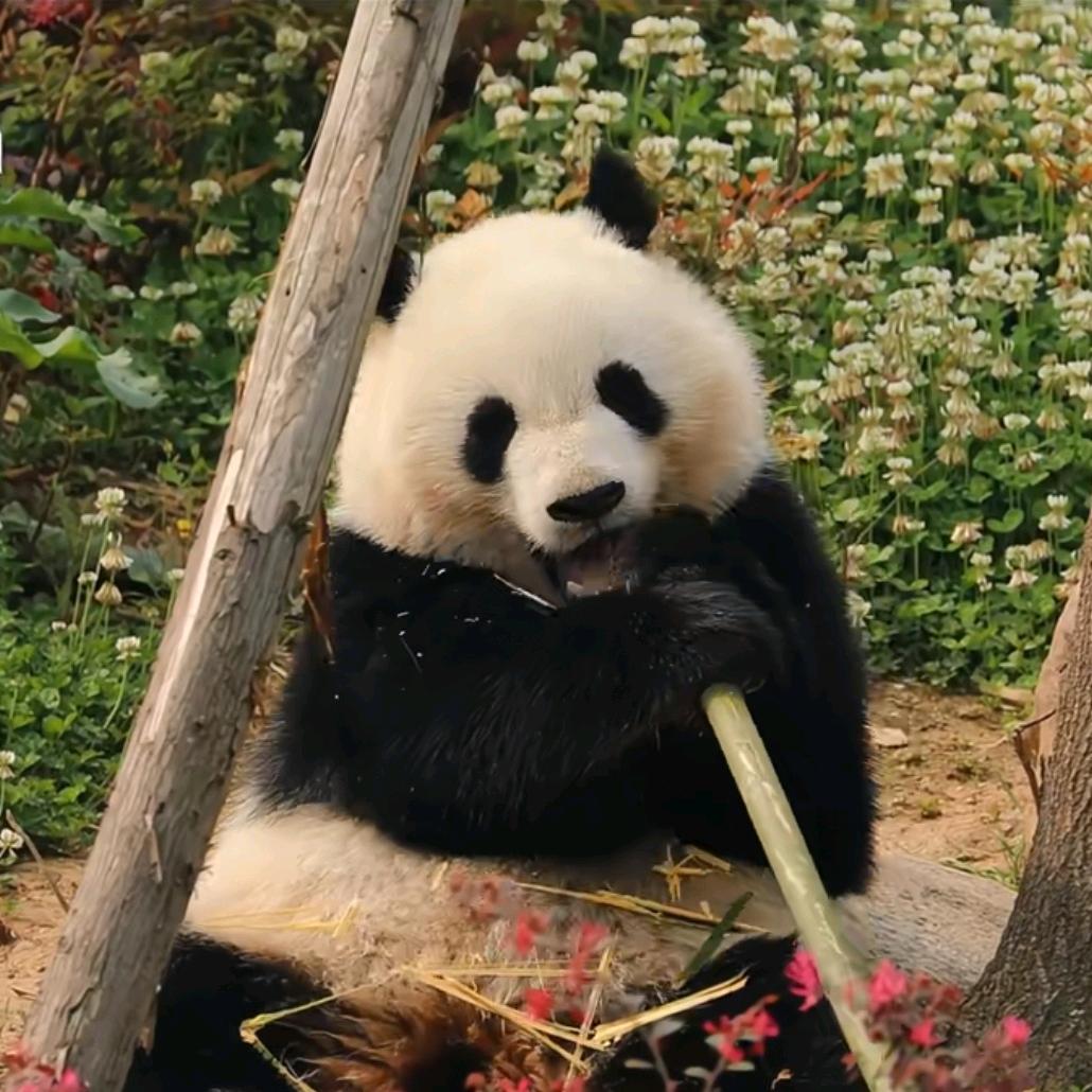 珍惜所有