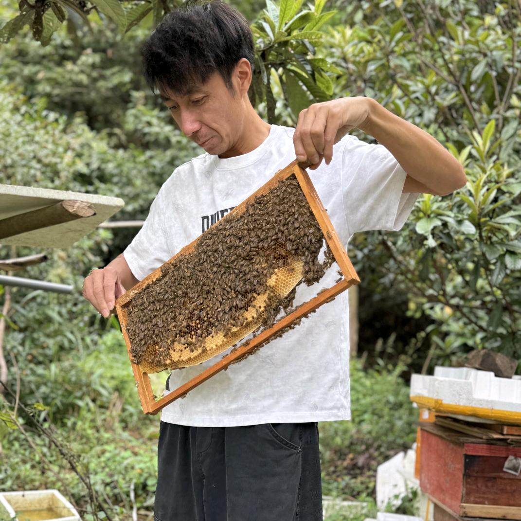 晴天农副产品优品店