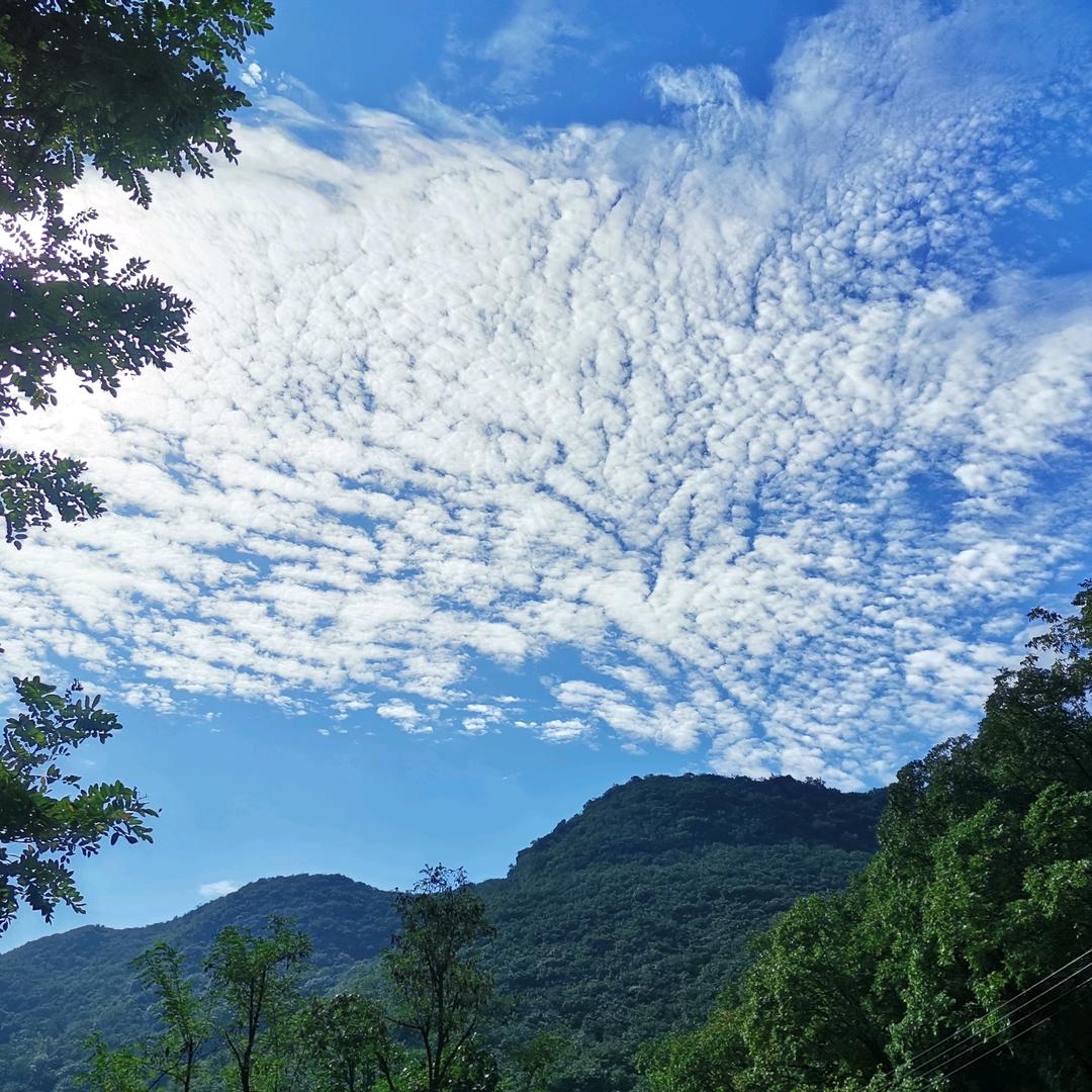 薄荷～微凉