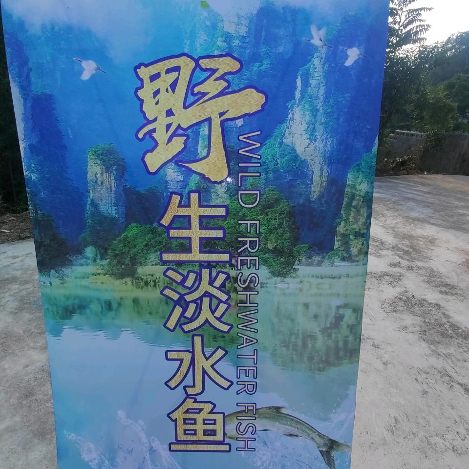张家界野生淡水鱼