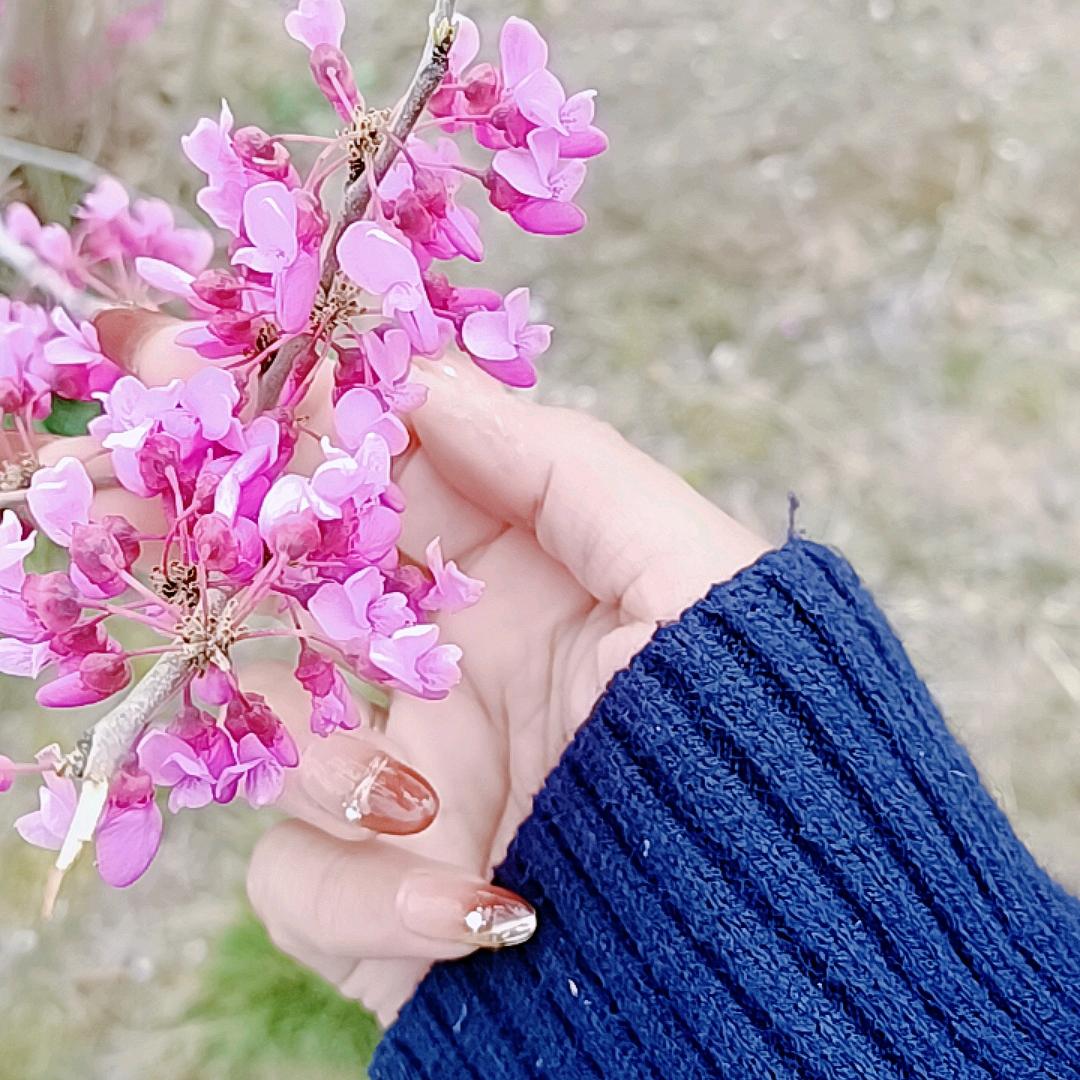 霞姐红娘一线牵✌👏👏