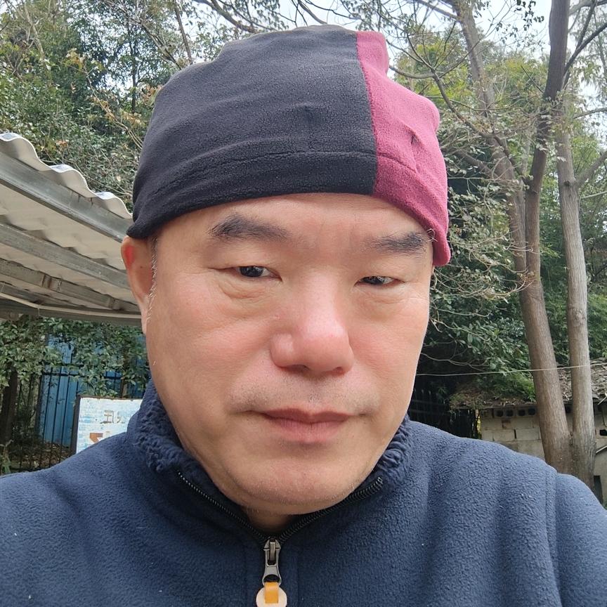 奇 哥