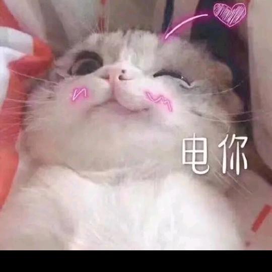 少话少聊(只是陪伴)💎🔒