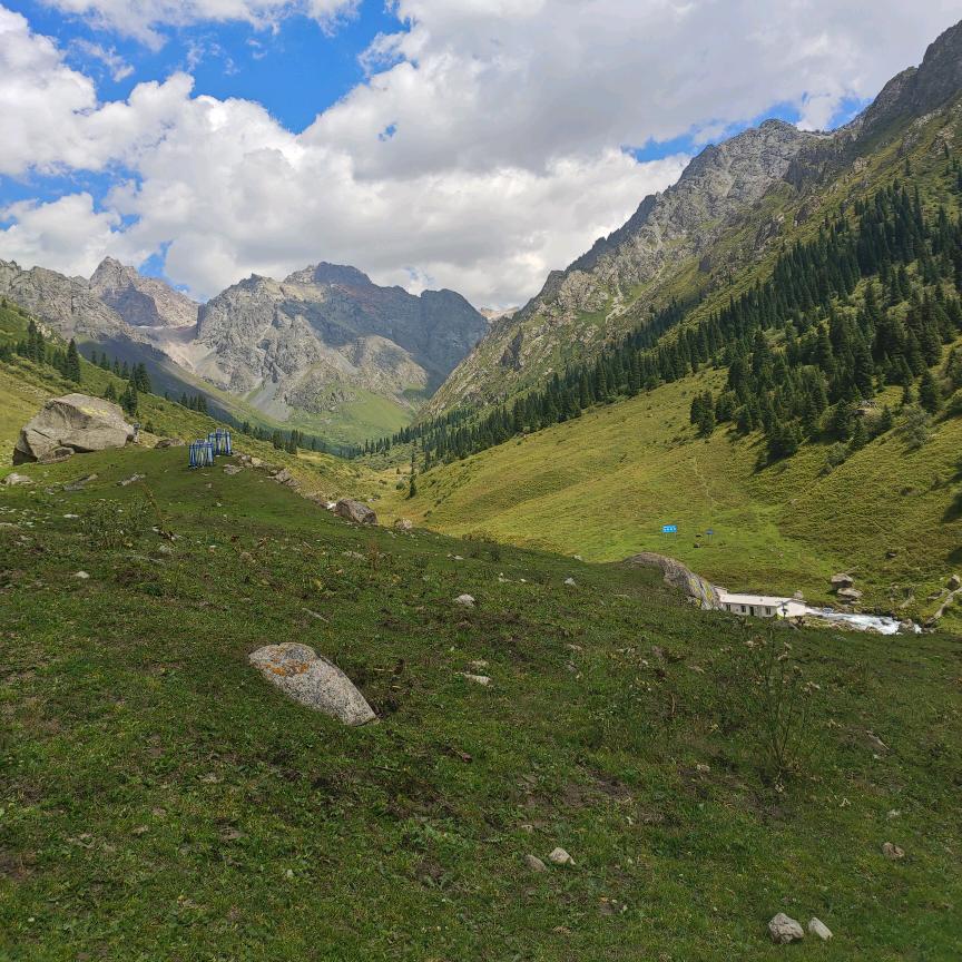 余生我(●'◡'●)独行