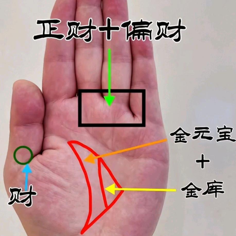 手相-（柯老师）