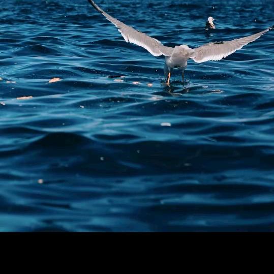 ✨曾经也是少年✨