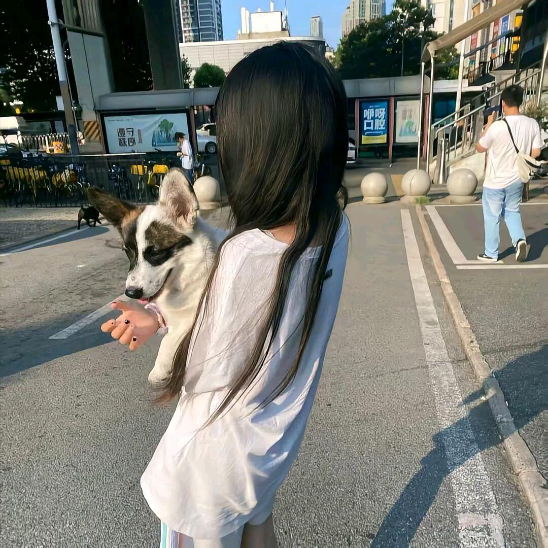 韩伊霖