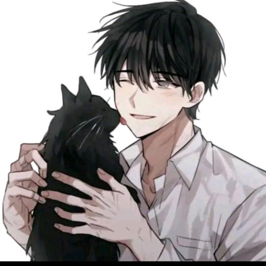 一只名叫旺旺的猫