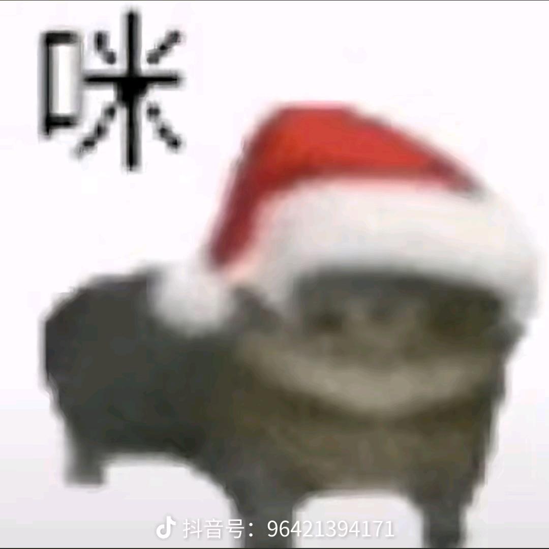 跟我巡飞弹说去