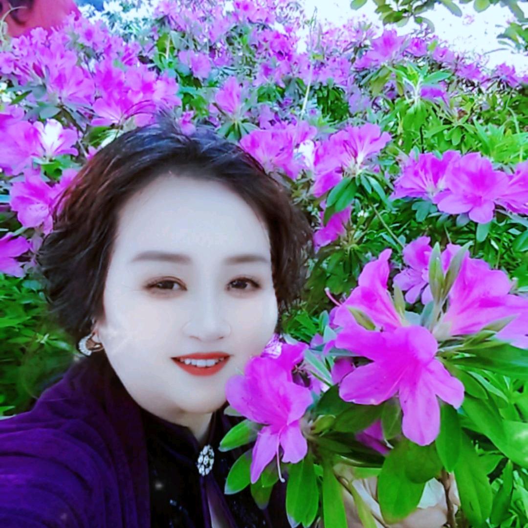 秋叶