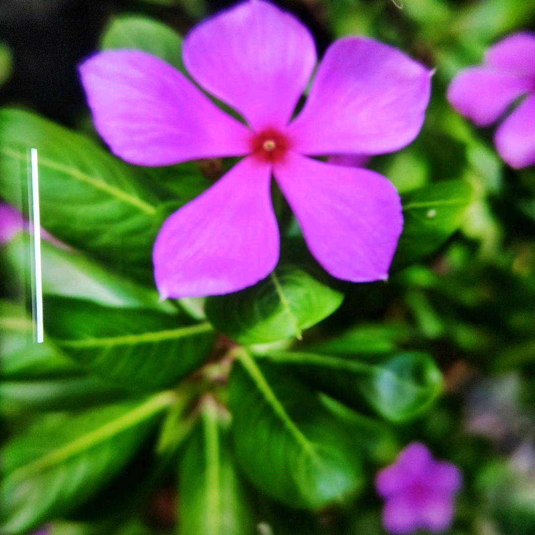 我不是最好，而且永远……