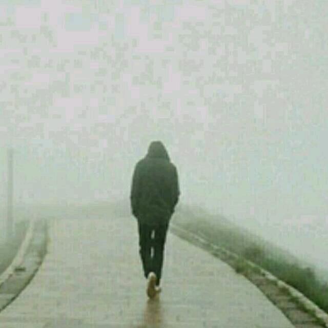 单身小王子