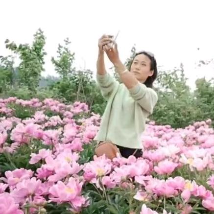 幸福总是半边微凉