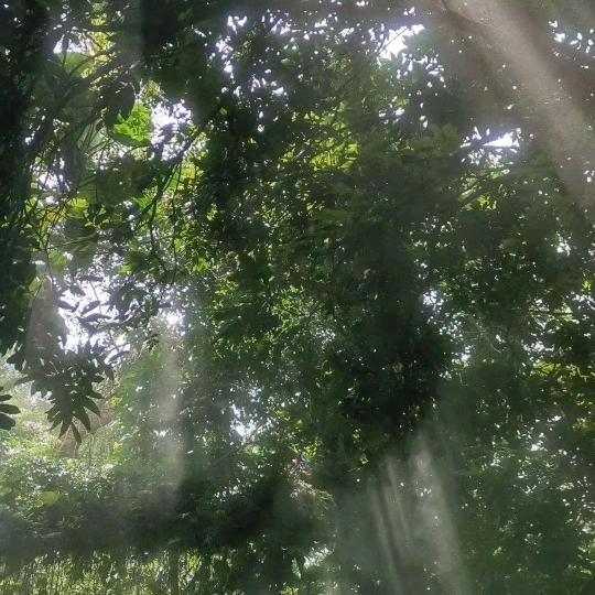 简简单单