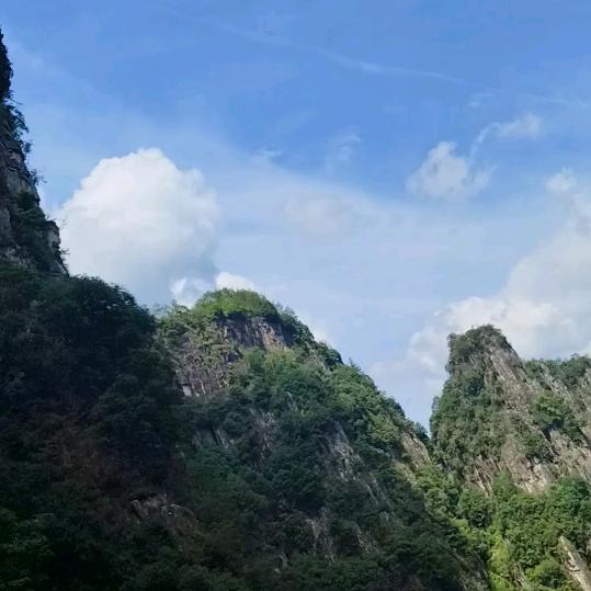 佛渡 皖霞🌹