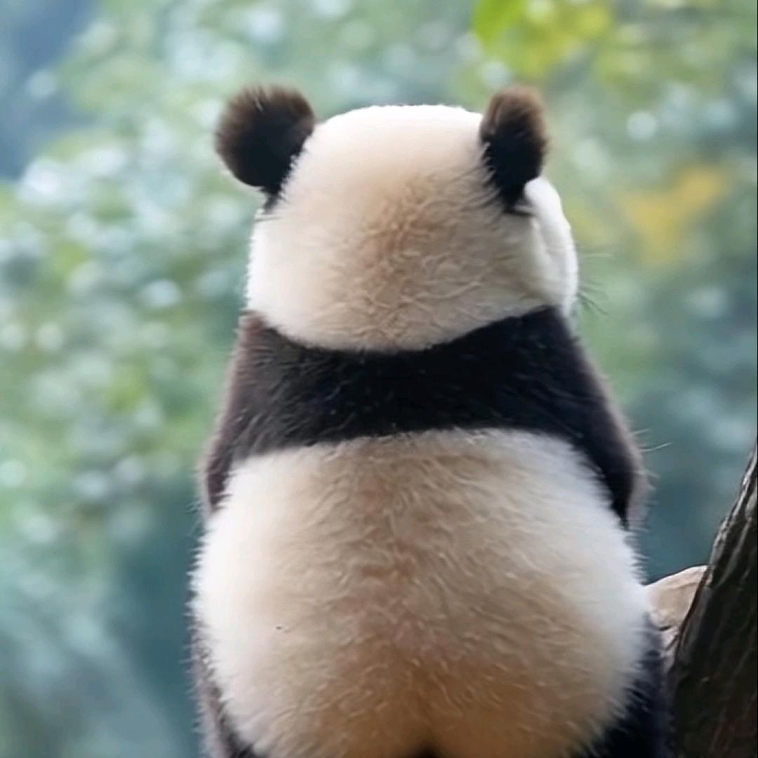 你的小乖乖