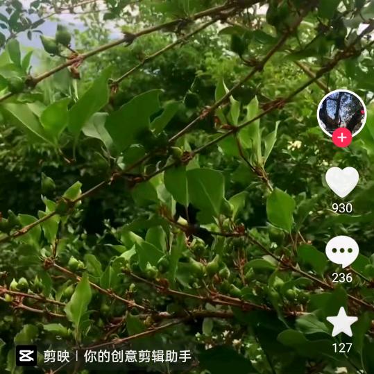用户4716760758518