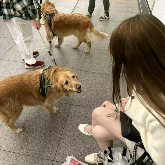 发呆呆呆yu