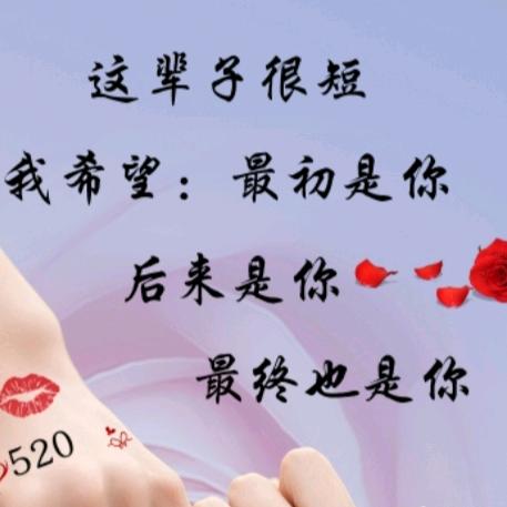༺❀ൢ此生不换❀ൢ༻